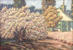 Cherry Tree and Old Carriage House at Lokshoek
