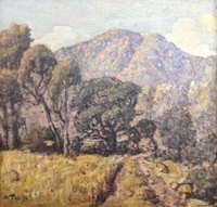 Winter – Trees, Driefontein