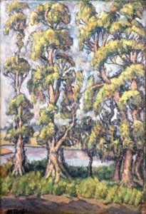 Blue Gum Trees and Water