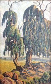 Weeping Tree