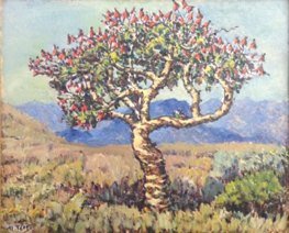 Flowering Tree