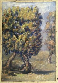Trees
