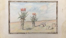 Landscape with Pair of Aloes