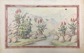 Landscape with Aloes and Stream