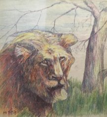 Head of a Lion