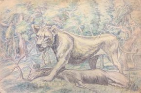 Lioness with Kill