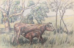 Cow and Calf