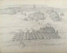 Rural Homestead with Field of Crops