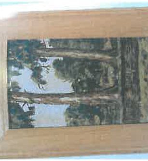 Autumn (Craighall)