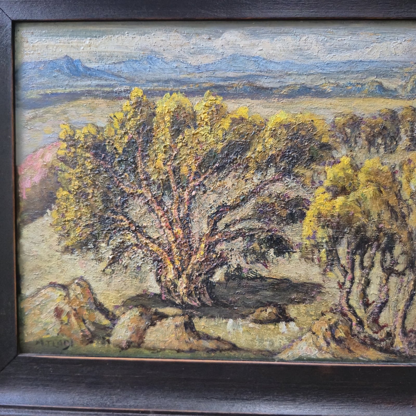Yellow flowering tree