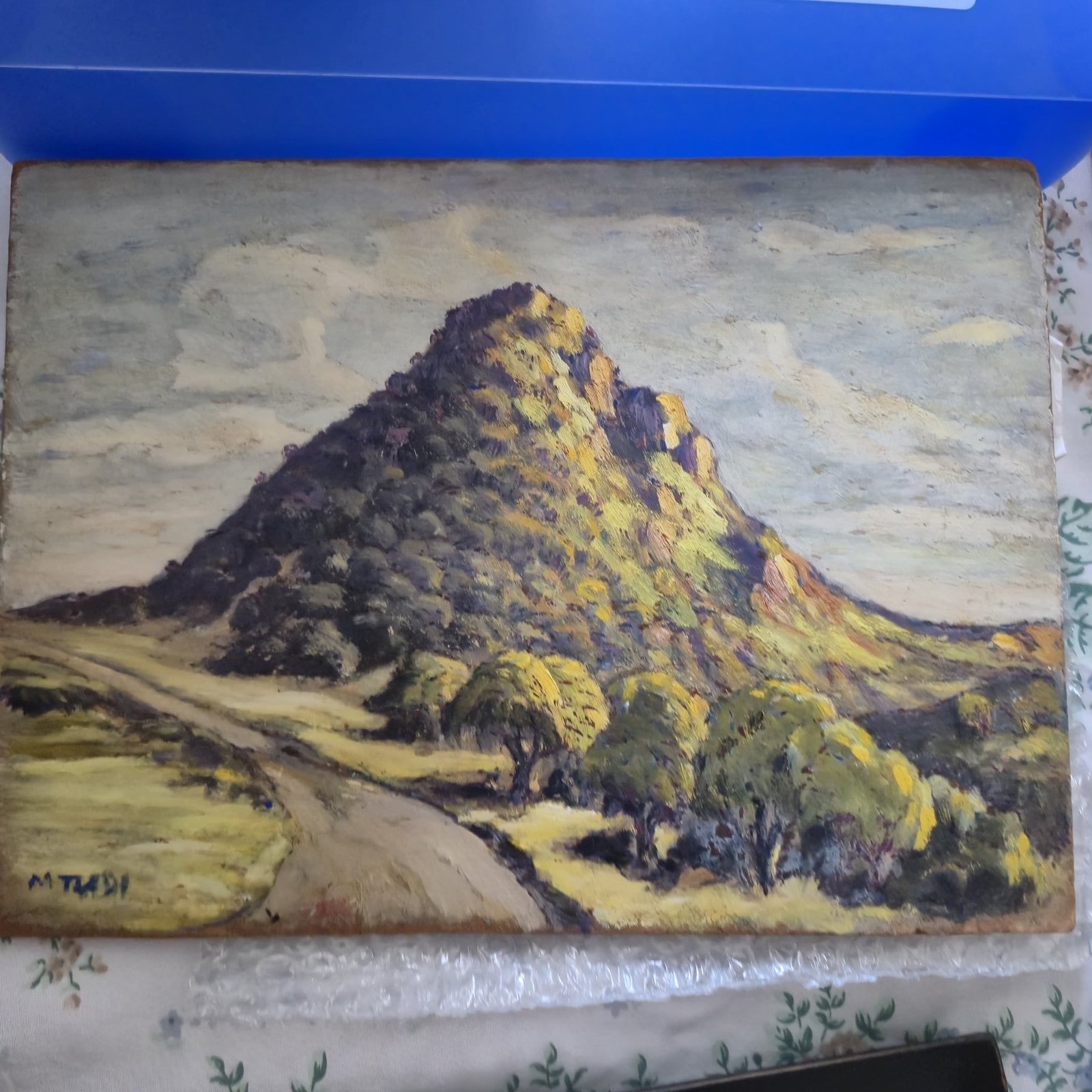 Mountain landscape