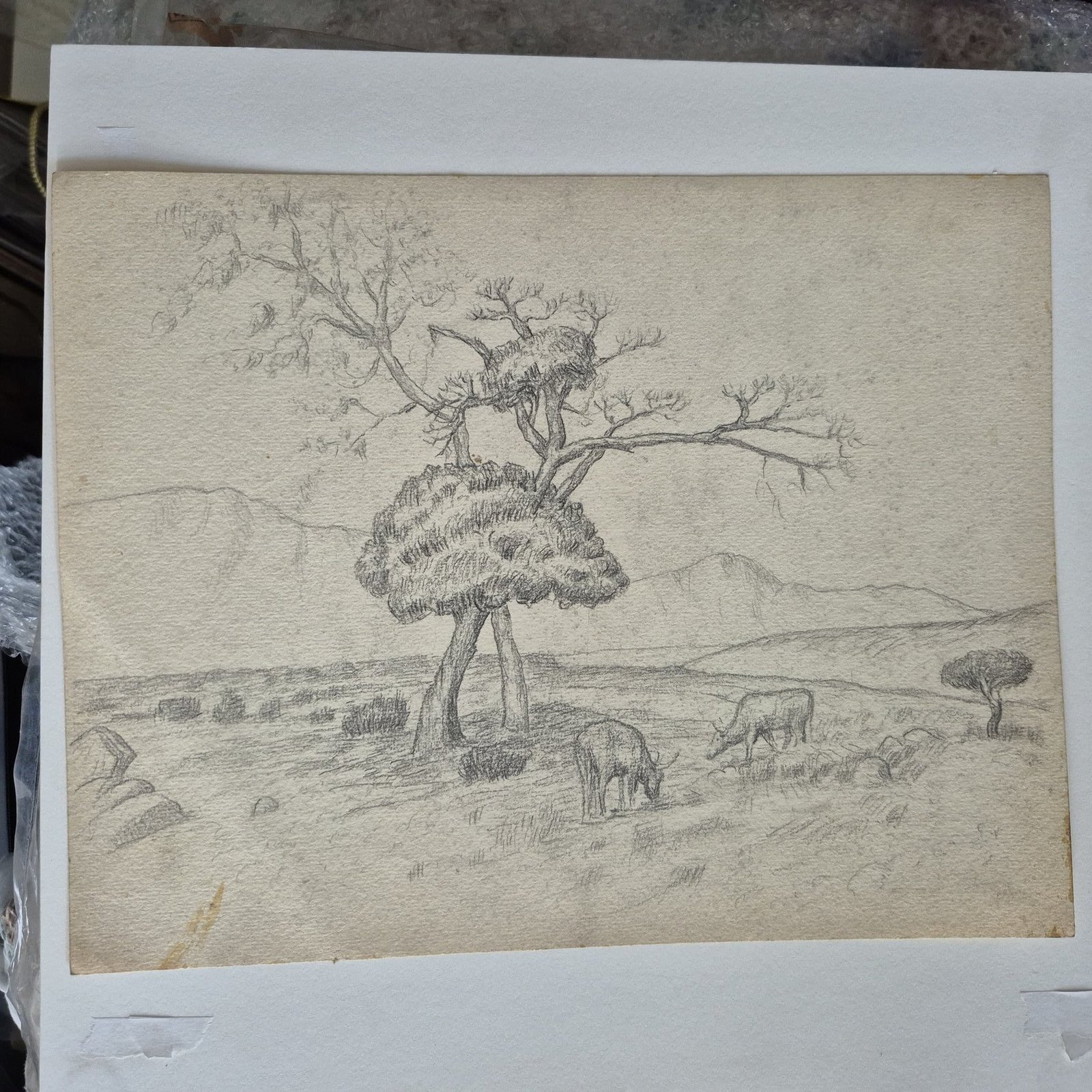 Pencil drawing