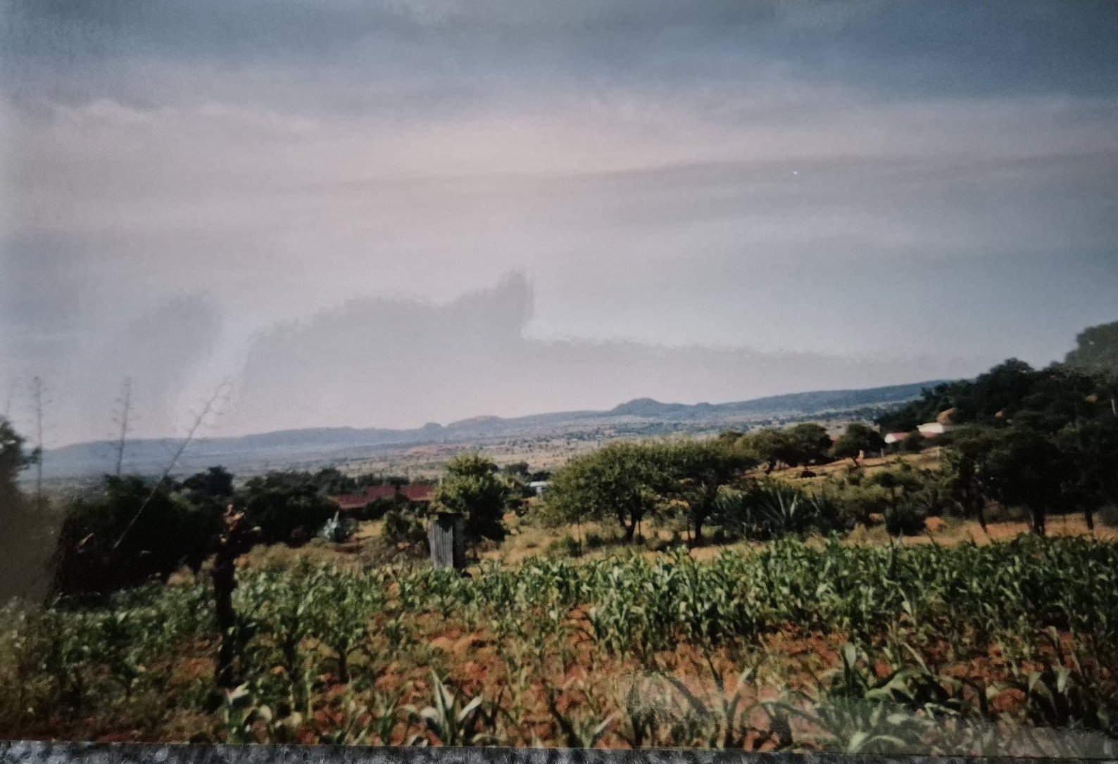 Lobethal, Ga-Phahla, Tladi family archive