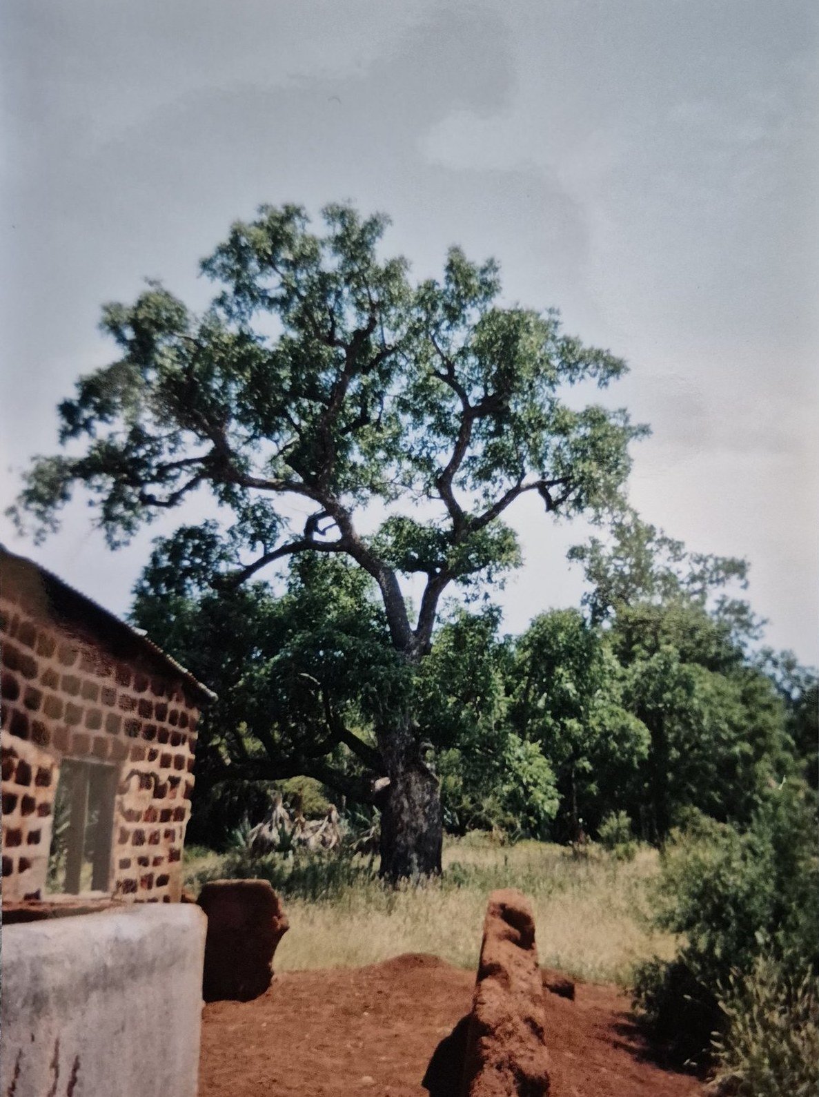 Lobethal, Ga-Phahla, Tladi family archive