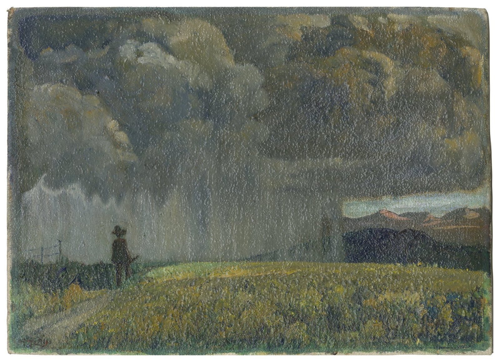 Untitled (Highveld rainstorm landscape)